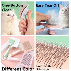 Cat Brush Automatic