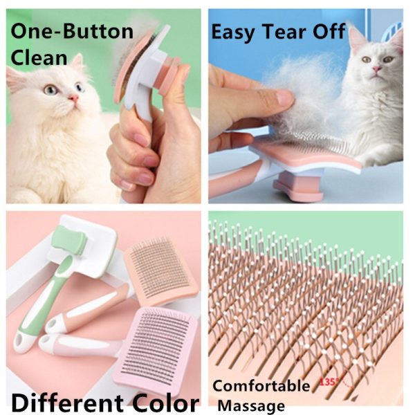 Cat Brush Automatic